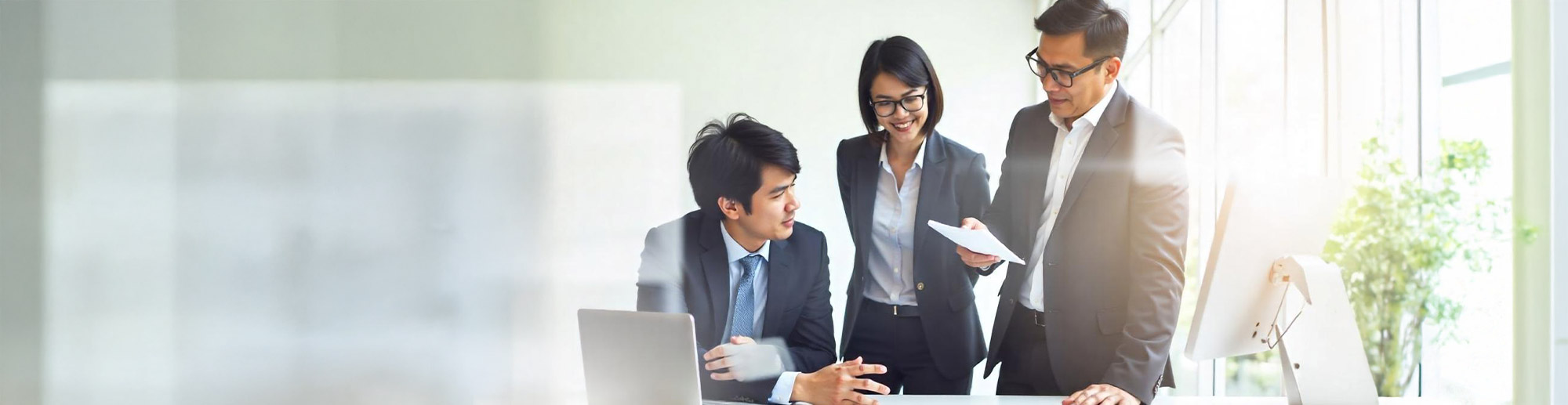 Project Management & Consultancy